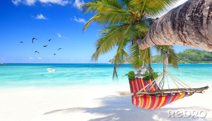 Poster Palmen und Meer an einem exotischen Strand