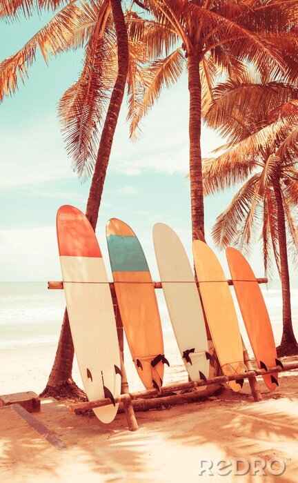Poster Palmen und Surfbretter am Strand