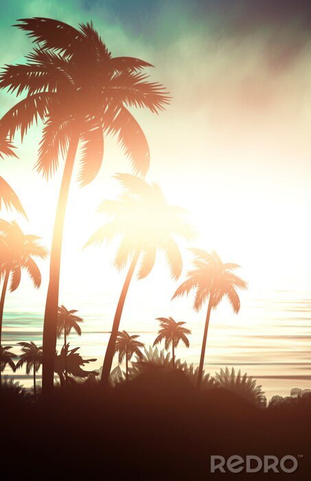 Poster Palmen von der aufgehenden Sonne beleuchtet