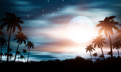 Palmen vor dem Hintergrund des Nachthimmels