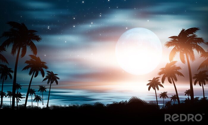 Poster Palmen vor dem Hintergrund des Nachthimmels