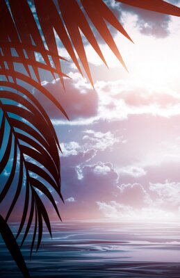 Poster Palmenblätter vor dem Hintergrund der Wolken