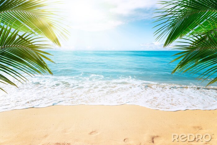 Poster Palmenstrand und Ozean