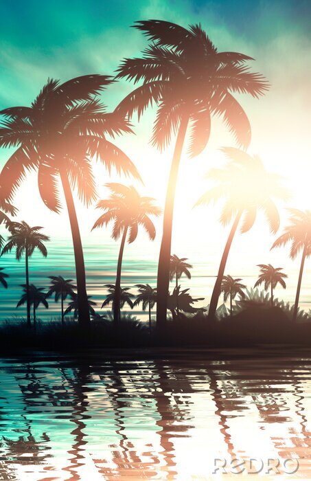 Poster Palmenwald bei Sonnenuntergang