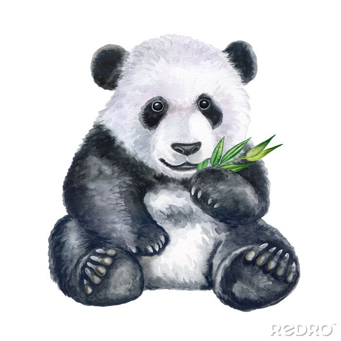 Poster Panda und Bambuszweig Aquarell