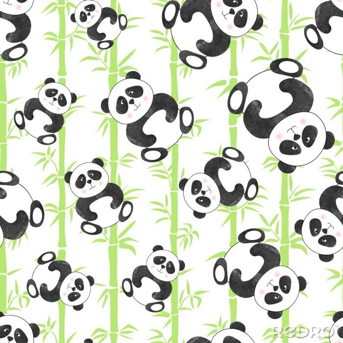 Poster Pandas und grüne Bambusse