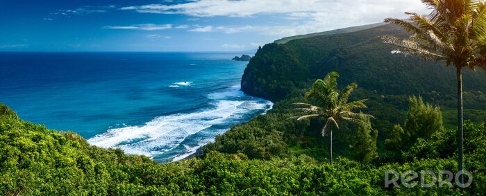 Poster Panorama des Meeres in Hawaii