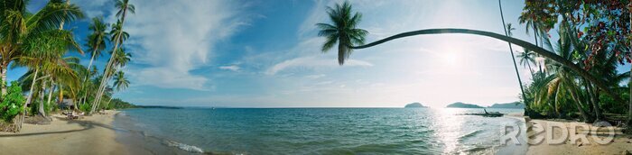 Poster Panorama des tropischen Meeres