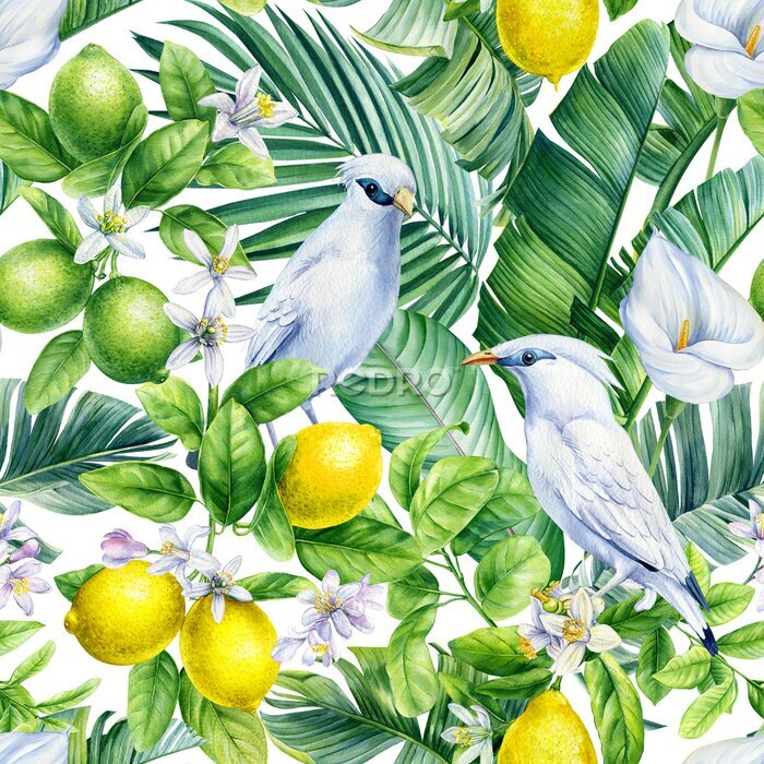 Poster Paradiesvögel zwischen Früchten