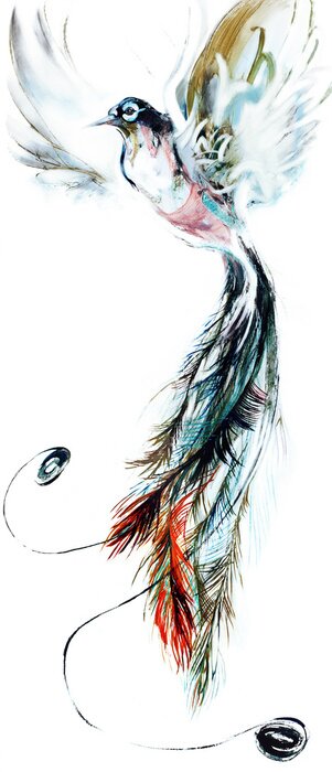 Poster Paradiesvogel im Flug