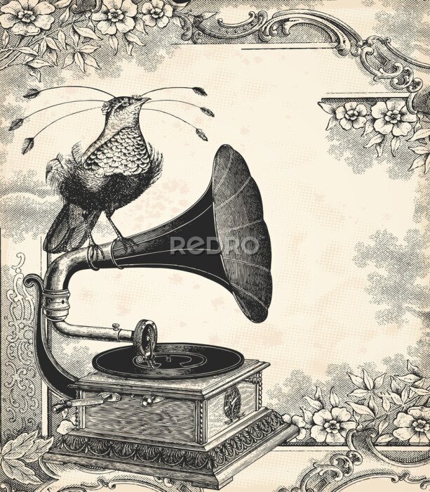 Poster Paradiesvogel und Grammophon