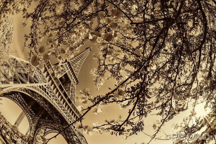 Poster Paris Ansicht des Eiffelturms in Sepia
