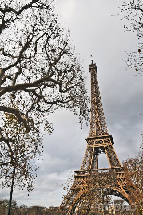 Poster Paris und der Eiffelturm im Herbst