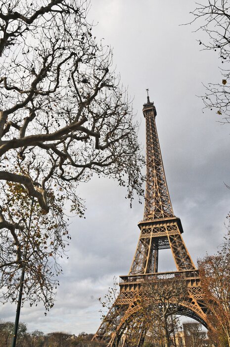 Poster Paris und der Eiffelturm im Herbst
