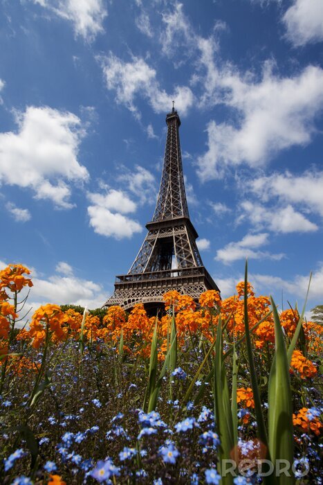 Poster Paris und der Eiffelturm in Blumen