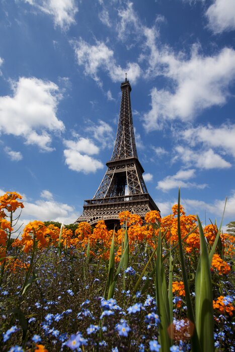 Poster Paris und der Eiffelturm in Blumen