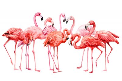 Poster Pastell Flamingos auf weißem Hintergrund