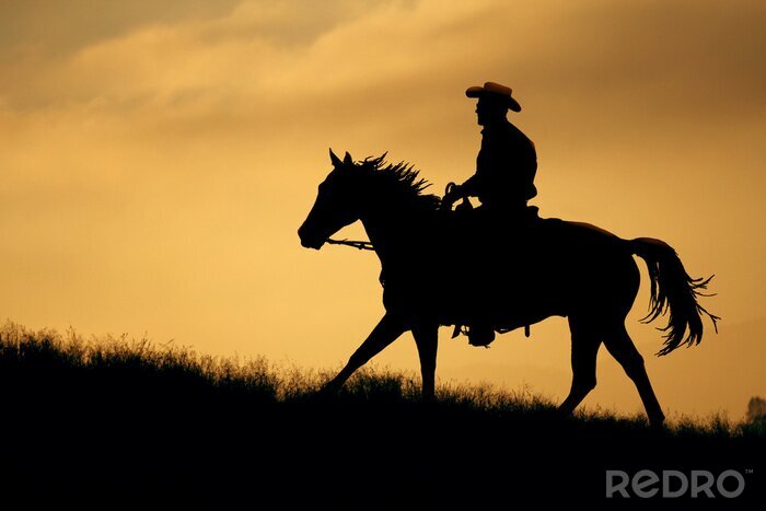 Poster Pferd und Cowboy