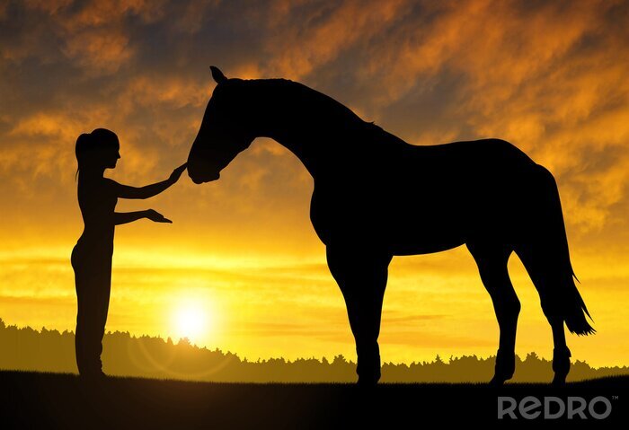 Poster Pferd und Frau bei Sonnenuntergang