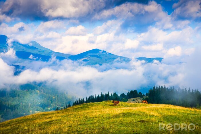 Poster Pferde Berge und Wolken