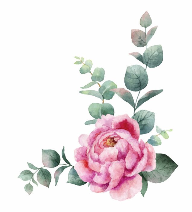 Poster Pfingstrose mit Eukalyptusblättern verziert