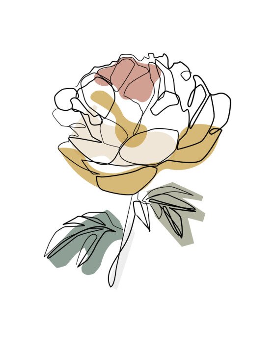 Poster Pfingstrose mit schwarzen Konturen