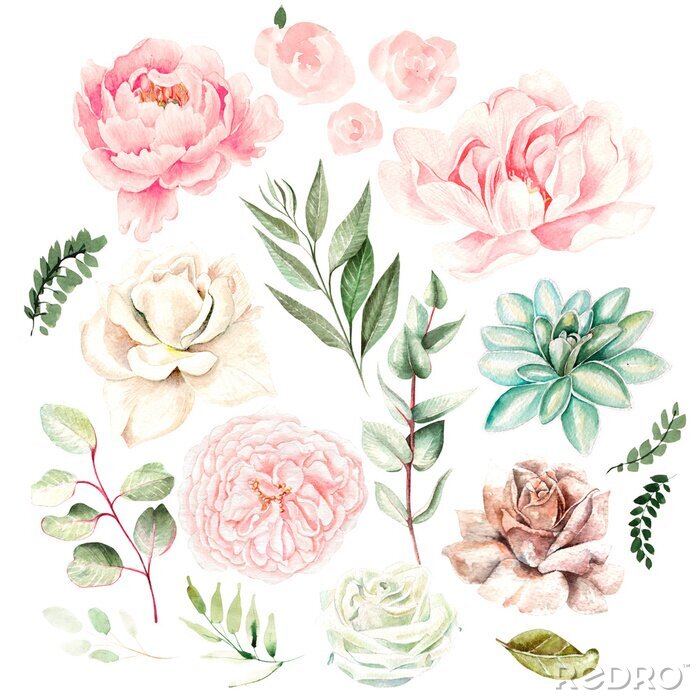 Poster Pfingstrosen Rosen und Eukalyptus romantisches Muster