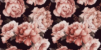 Tapete Pfingstrosenblumen auf schwarzem Hintergrund