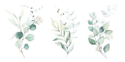 Pflanzen Aquarell-Arrangements
