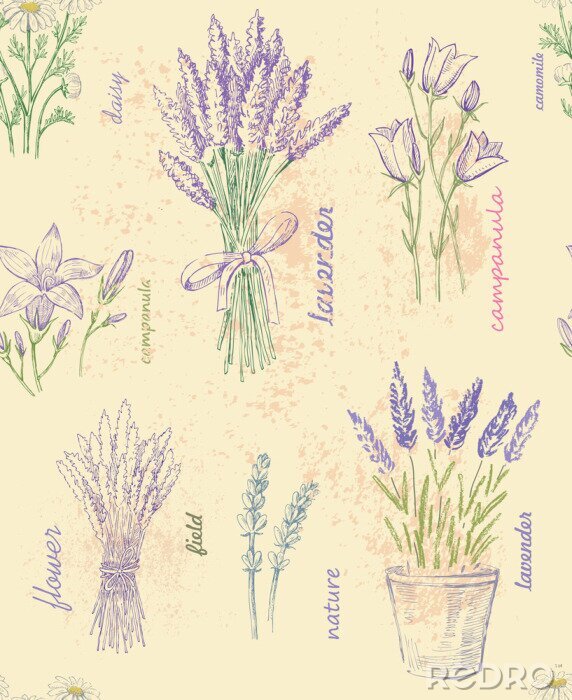 Poster Pflanzen mit violetten Blüten und stilisierte Beschriftungen