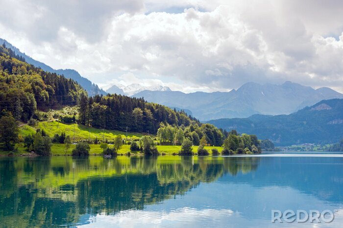 Poster Pflanzen und Berge am See