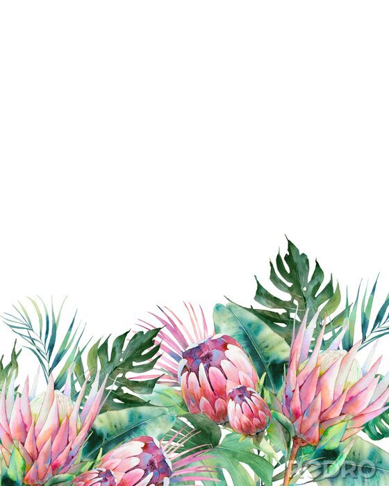Poster Pflanzen und Blumen in Aquarell gemalt