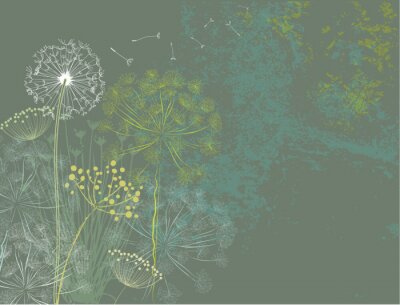Pflanzen und Pusteblumen auf grauem Hintergrund