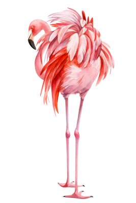 Poster Pink Flamingo Aquarell