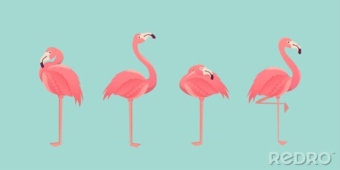 Poster Pink Flamingos auf blauem Hintergrund