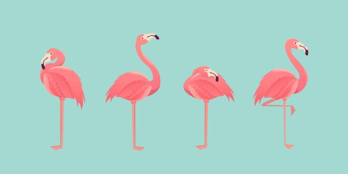 Poster Pink Flamingos auf blauem Hintergrund
