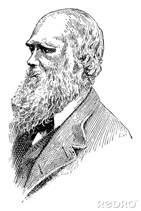 Poster Porträt von Charles Darwin