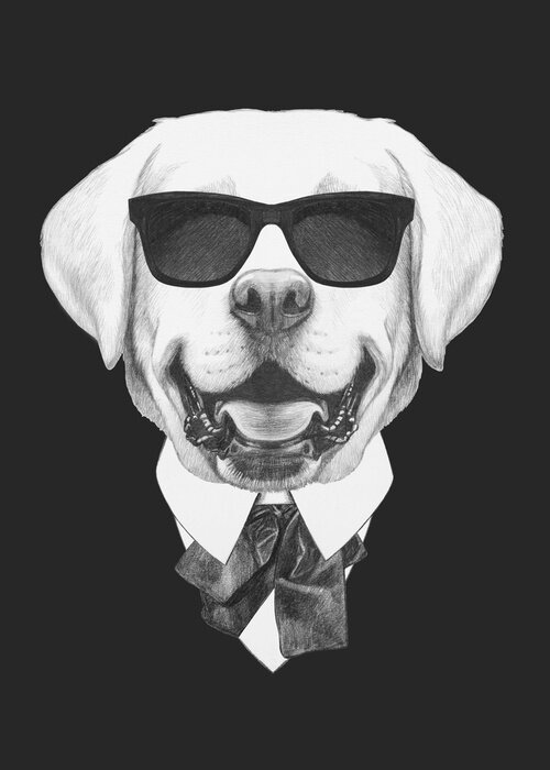 Poster Porträt von Labrador in Anzug. Hand gezeichnete Abbildung.