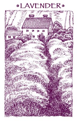 Provence Landschaft. Vector Hand gezeichnet grafische Darstellung.