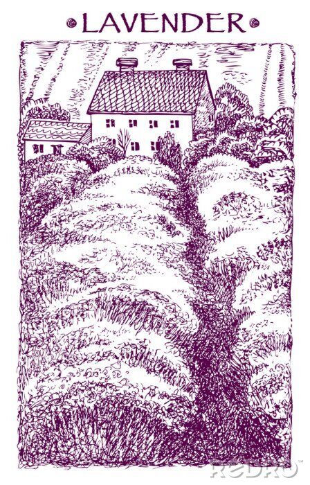 Poster Provence Landschaft. Vector Hand gezeichnet grafische Darstellung.