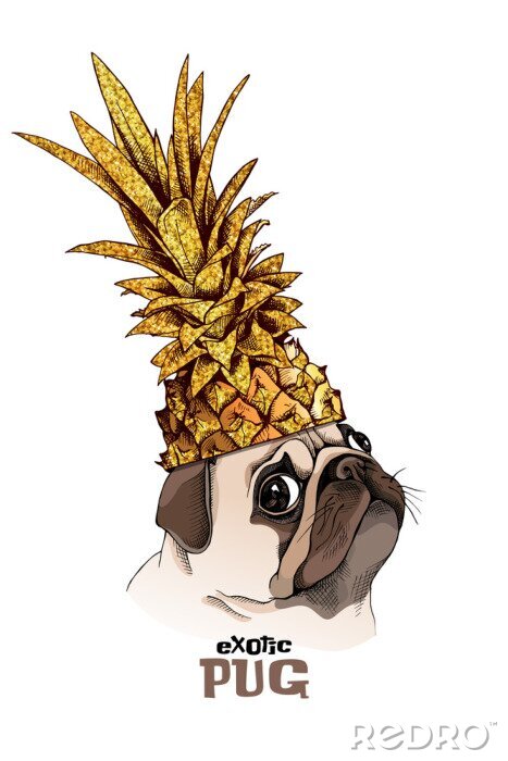 Poster Pug dog in a gold Pineapple crown. Vector illustration.