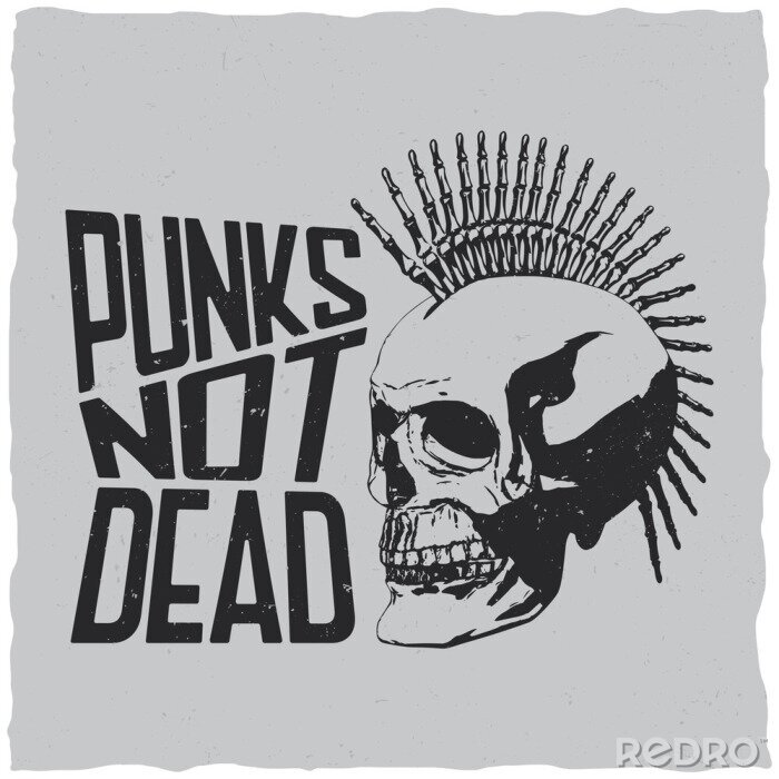 Poster Punks not dead in lila