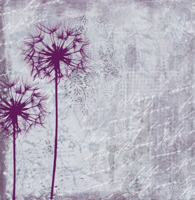 Pusteblume und Aufschriften