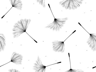 Pusteblumen schwarz-weiß an Besen erinnernd