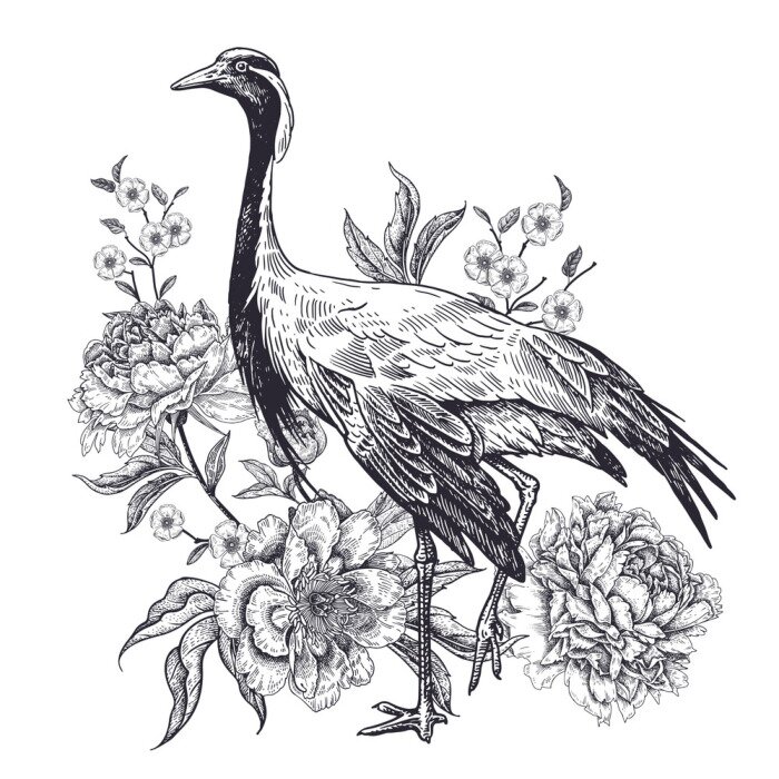 Poster Realistic hand drawing of crane and beautiful peonies isolated on white background.