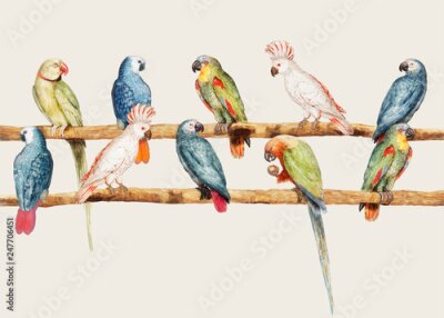 Poster Realistische Papageien auf Stöcken