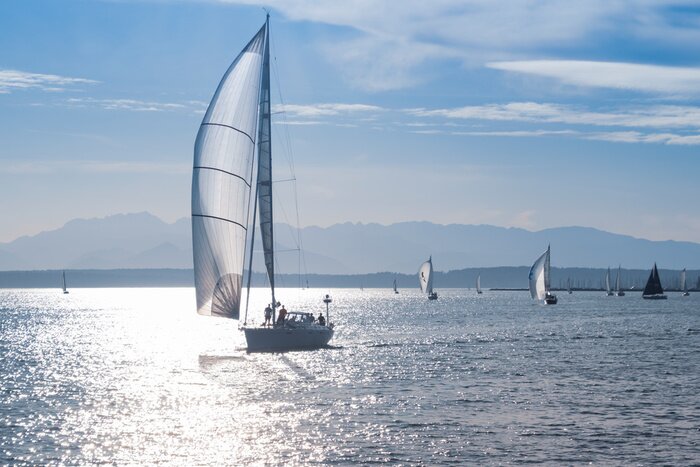Poster Regatta der Segelboote auf dem Wasser