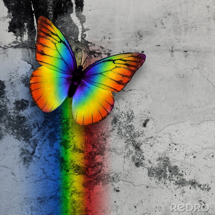 Poster Regenbogenfarbener Schmetterling