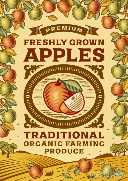 Poster Retro-Etikett frischer Äpfel