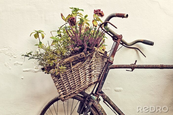 Poster Retro-Fahrrad mit Blumen im Korb